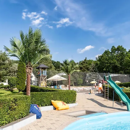 - Aqua Maria 롯지 *